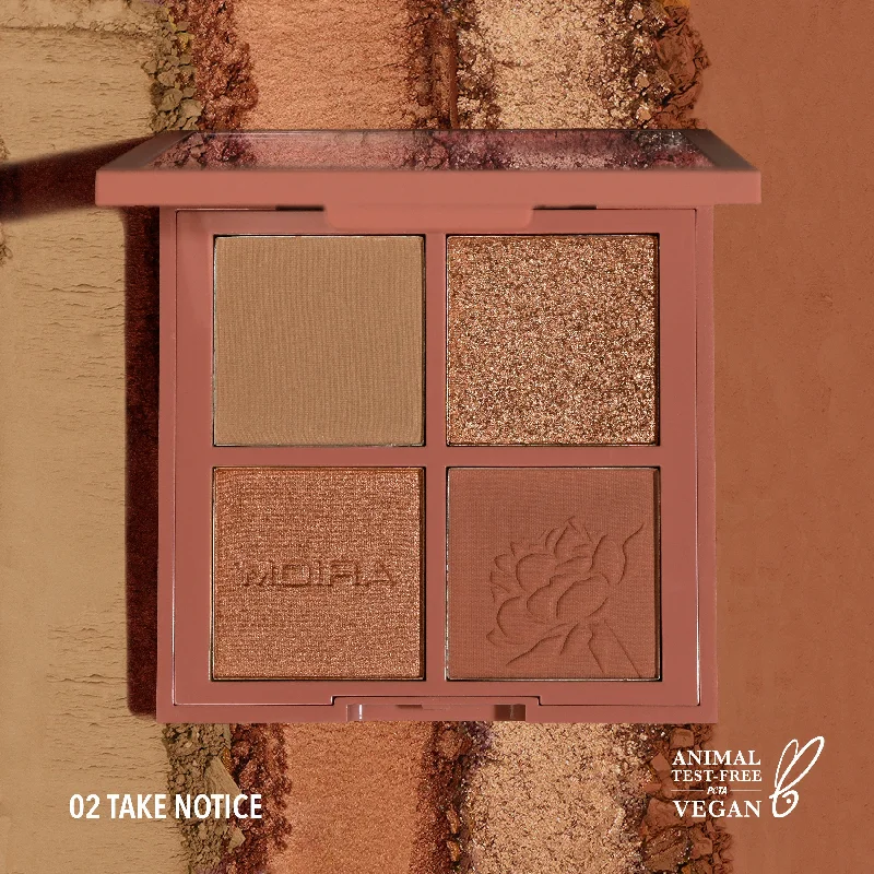 Take Notice Face Palette