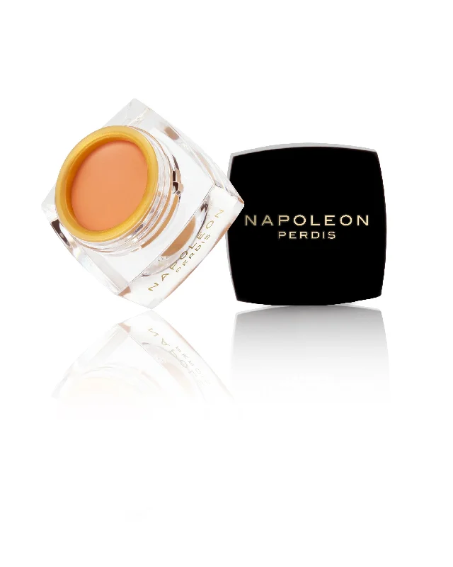 Napoleon Perdis The One Concealer